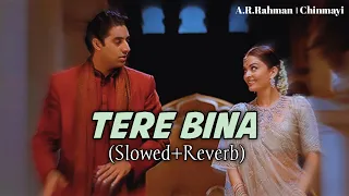 Tere Bina | Slowed and Reverb | A.R.Rahman | Chinmayi | Guru | Abhishek and Aishwarya Rai