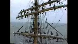 Segel setzen auf der "Gorch Fock"