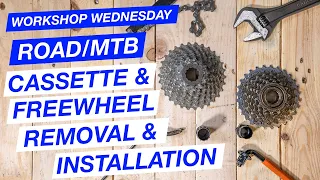 MTB/Road Freewheel and Cassette Identification, Removal and installation