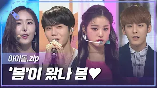 [아이돌.zip] 케이팝에 담긴 봄🌸 봄에 듣기 좋은 아이돌 플레이리스트 l 아이돌(IDOL)