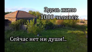 Заброшенное село КОЗЛОВКА, Ульяновская область