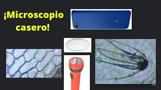 Microscopio casero (Útil para ver microorganismos)/Best Microscope at home DIY