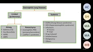 Eosinophilic Lung Disease a case discussion - Dr. AlJarod