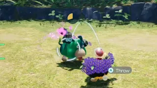 Running test on Moss (Pikmin 4)