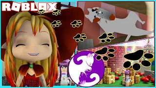 🙀 Helping the CAT LADY FIND ALL HER CATS! ROBLOX FIND THE CATS!