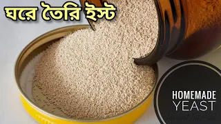 মাত্র ২ টি উপকরণ দিয়ে তৈরি ইস্ট। Homemade Yeast। How to make yeast at Home