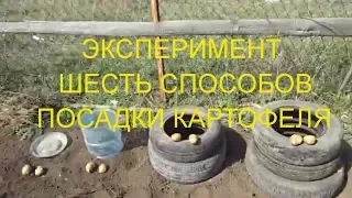 #ЭКСПЕРИМЕНТ.Шесть способов посадки КАРТОФЕЛЯ.