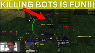 Bots are CRASHING Classic Era Economy - So I farm them for honor!