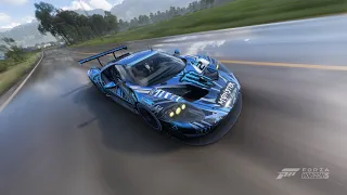 Ford GT #66 GTLM LE MANS 2016 Forza Horizon 5