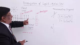 Class 12th – Polarization of Light-Malu's Law | Wave Optics | Tutorials Point