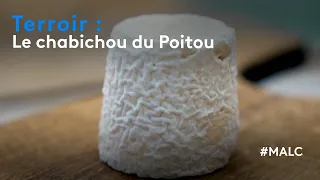 Terroir : le chabichou du Poitou