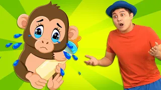 The Boo Boo Animals Songs | Tigi Boo Kids songs