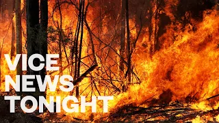 What's Really To Blame For Australia's Bushfires