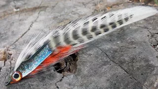 Feather minnow streamer fly tying instructions by Ruben Martin