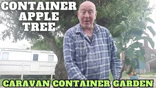 Container Apple Tree Full Time Caravan Life
