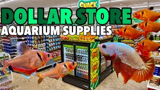 7 Aquarium Supplies To Buy From The Dollar Store