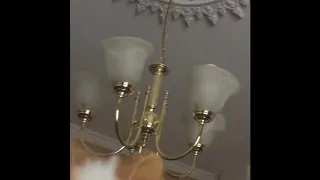 Chandelier featuring a chandelier and of course a cat