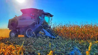 Manitoba Corn Harvest Pt. 2 | Gleaner |