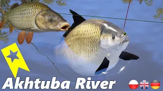 Trophy Buffalo 2x Wild Carp Akhtuba River Russian Fishing 4 rf4 spot #mjplay