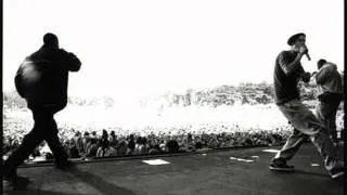 Beastie Boys live  Pass the mic 1995 sydney macquarie