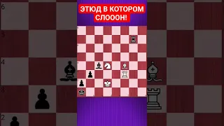 💥БЫЛ СЛОН А СТАЛ СЛОНЯРА #chesspuzzle #шахматныезадачи #шахматы #chess