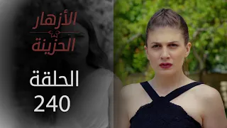 مسلسل الأزهار الحزينة | الحلقة 240 - الموسم الثاني