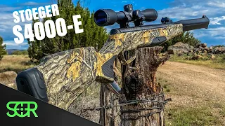 Stoeger S4000-E REVIEW .22 CAL a Quiet, Accurate & Cool Lookin Break Barrel