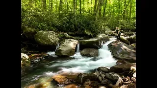 Backcountry Tenkara in the Great Smoky Mountains National Park