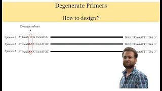 What are Degenerate primers? How to Design