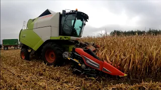 Kolejne poletko kukurydzy 🌽 Nie ma pustych przejazdów 🚜