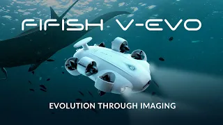 FIFISH V-EVO 4K 60FPS Underwater Drone: Evolution Through Imaging