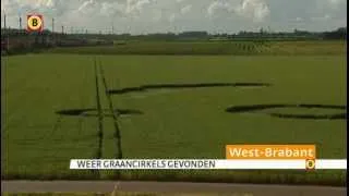 Graancircels zijn opgedoken op het land van Arie de Lint in Zevenbergschen Hoek