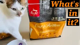 Cat food Orijen cat & kitten cat food Yuki's review