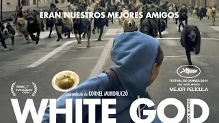 WHITE GOD (DIOS BLANCO) - Tráiler en español HD