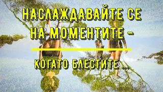 17 МАРТ - МИСЛИ ЗА ВСЕКИ ДЕН С ВКУС НА ФЪН ШУИ №77 - #shorts