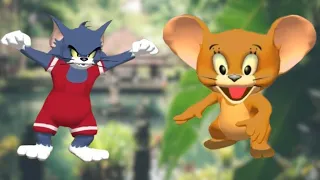 Tom and Jerry War of the Whiskers(2v2): Nibbles and Eagle vs Team Beach Gameplay HD - Funny Cartoon