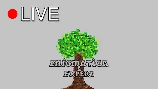 S2E3 Вынужденные читы, индастриал и иммерсив. Прохождение Minecraft Enigmatica 2 Expert Skyblock