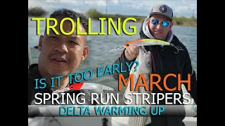 Trolling Delta Stripers Spring 2024