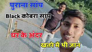 घर में निकला कोबरा सांप खतरे में थीं जान | Black Cobra 🐍 Nikala Ghar Main Jaan Bachi