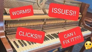 Fixing an old Petrof piano in desperate need of help!! PART 1