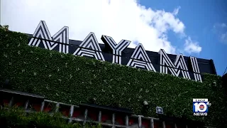 Fresh on Friday: Mayami is Wynwood's new hot spot