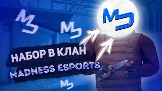 Набор а клан Madness Esports Standoff 2 0.18.1#shorts