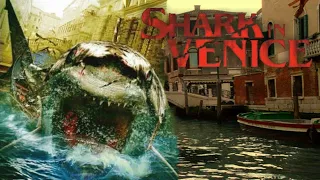 SHARK IN VENICE / MUSIC VIDEO