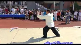 Yang Shi Taijiquan 85 Shi (back) - Master Zhao Youbin (赵幼斌)