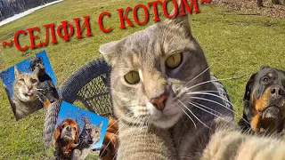 ~СЕЛФИ С КОТОМ~СМЕШНОЕ ВИДЕО