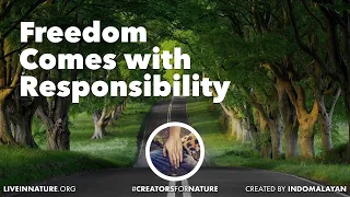 Freedom comes with Responsibility | Creators for Nature