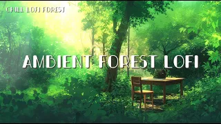 Ambient Forest Lofi  [🍉Chill Lo-Fi Beats]