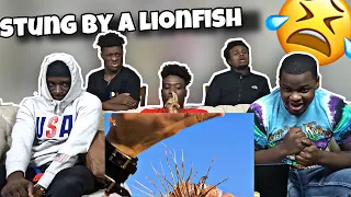 Stung By a LionFish 😱| REACTION!