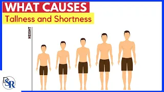 📏 What Causes Tallness and Shortness