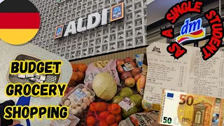 🇩🇪 50€ COMPILATION Grocery Shopping in Germany at Aldisüd and dm with Prices | as a single Student